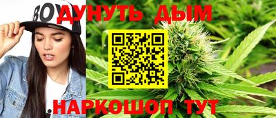 альфа пвп Новодвинск