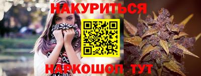 альфа пвп Новодвинск