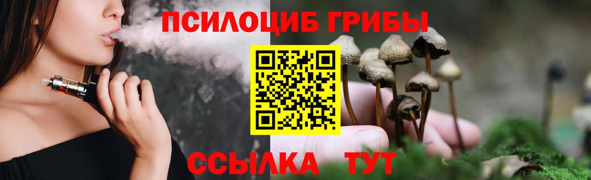 Тверь  Псилоцибиновые грибы мицелий  Вход с VPN 